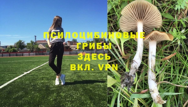 мет Аркадак