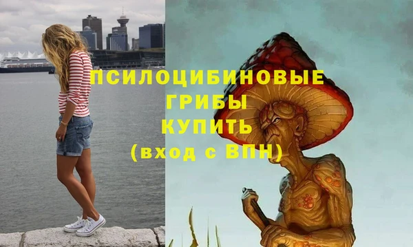 хмурый Армянск